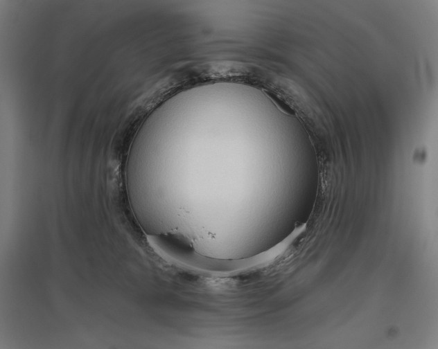 X0000096630327200802261210