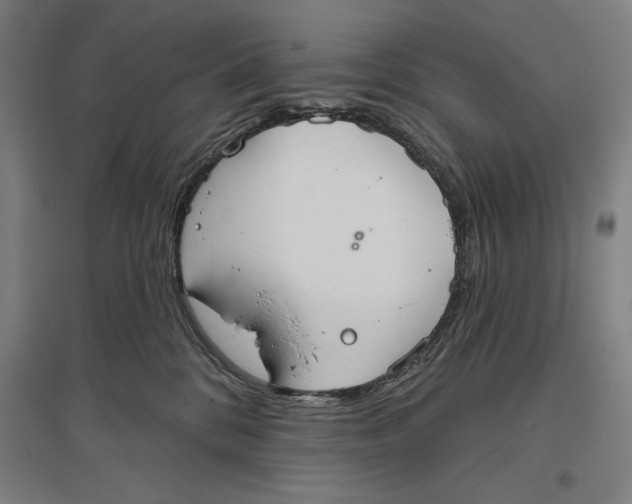 X0000096630328200802261210