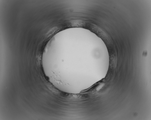 X0000096630329200802261210