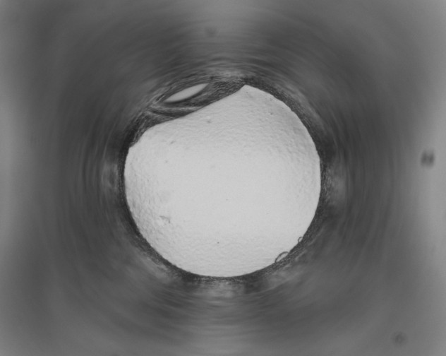 X0000096630330200802261210