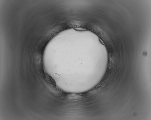 X0000096630331200802261210