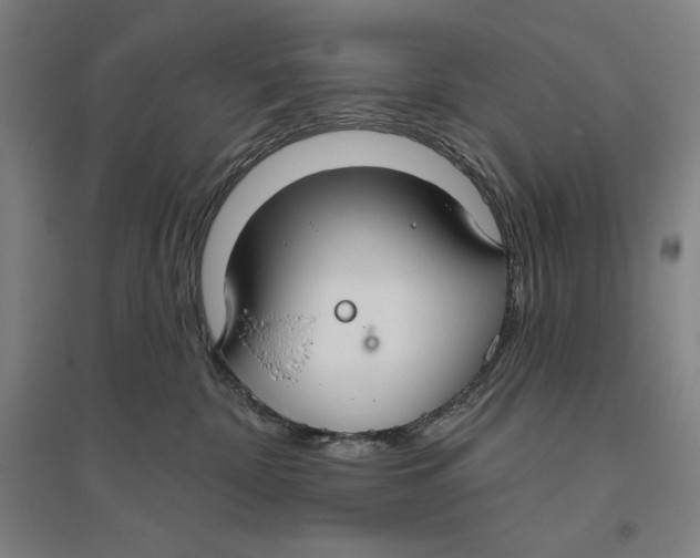 X0000096630332200802261210