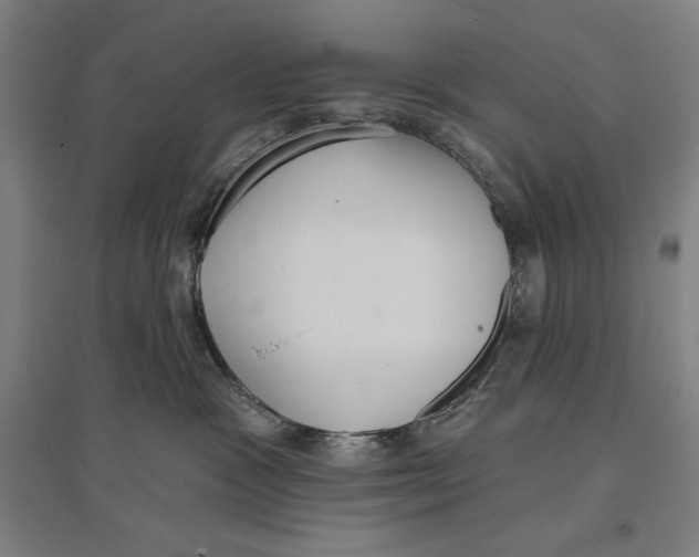 X0000096630333200802261210