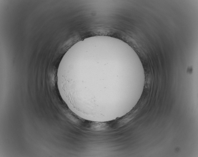 X0000096630334200802261210