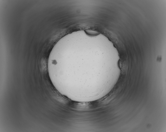 X0000096630335200802261210