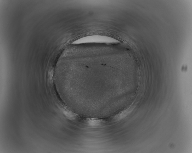 X0000096630336200802261210