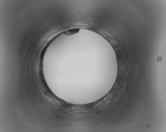 X0000096630338200802261209