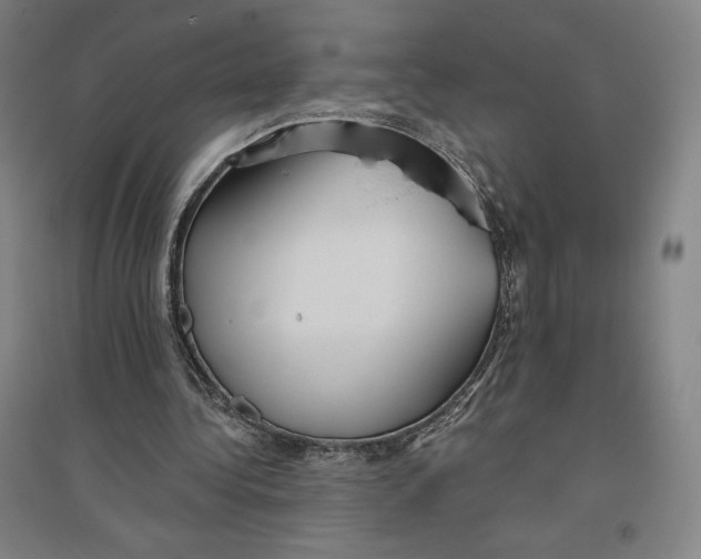 X0000096630340200802261209