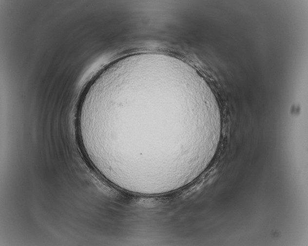 X0000096630341200802261209