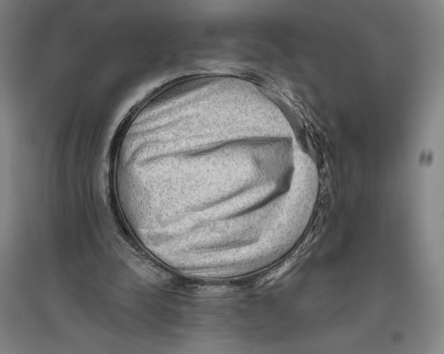 X0000096630342200802261210