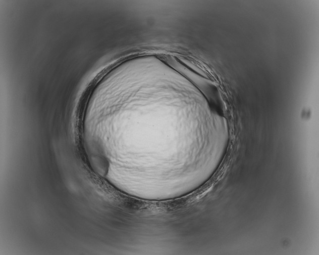 X0000096630343200802261210