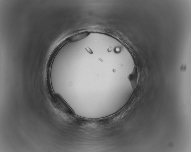 X0000096630344200802261210