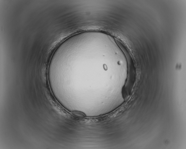 X0000096630345200802261210