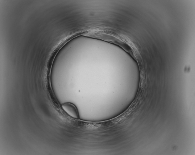 X0000096630346200802261210