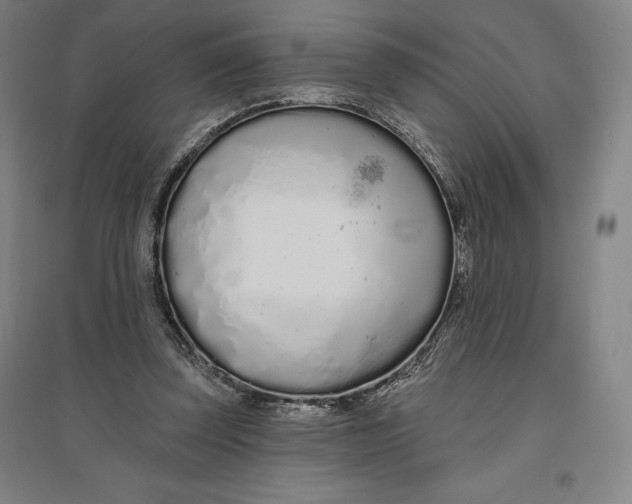 X0000096630347200802261210