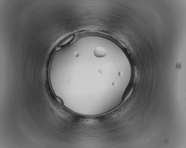 X0000096630348200802261210