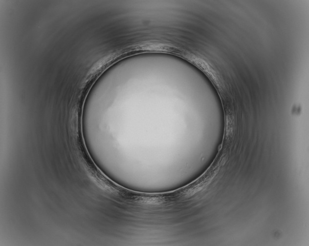 X0000096630349200802261210