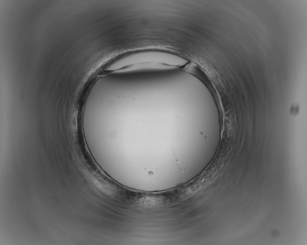 X0000096630350200802261210