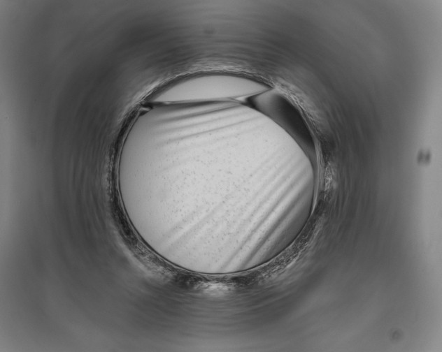 X0000096630352200802261210