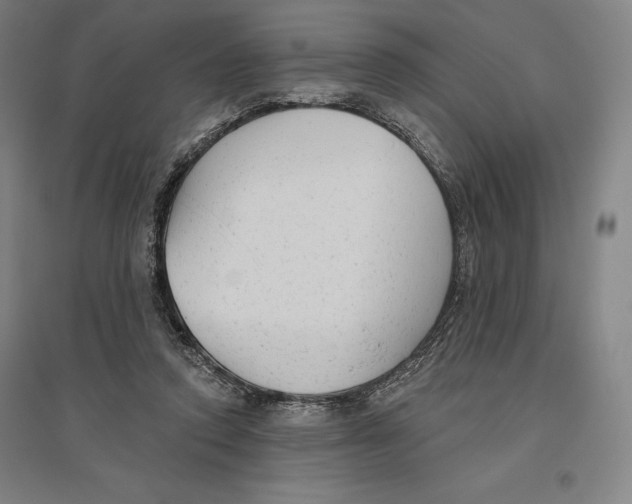 X0000096630354200802261210