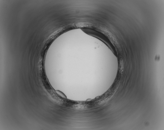 X0000096630356200802261210