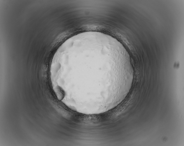 X0000096630357200802261210