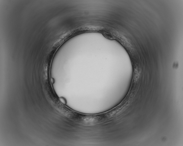 X0000096630358200802261210