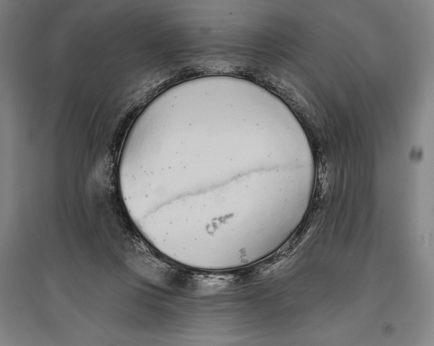 X0000096630359200802261210