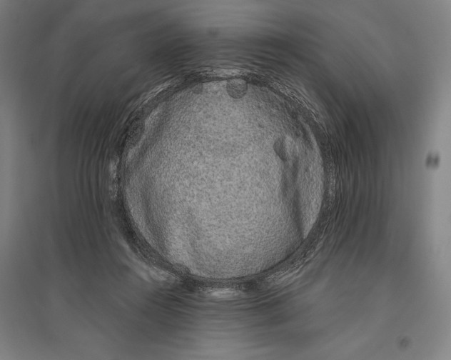 X0000096630360200802261210