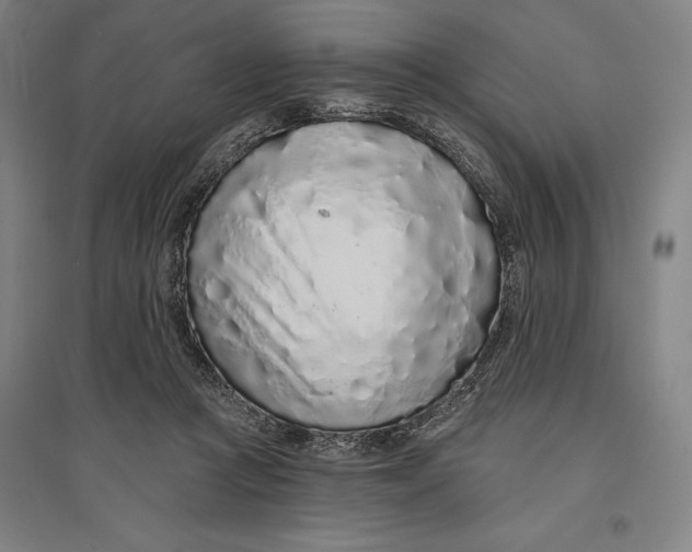 X0000096630361200802261210