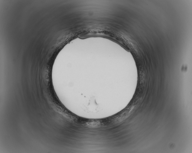 X0000096630362200802261210