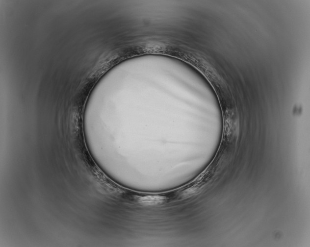 X0000096630363200802261210