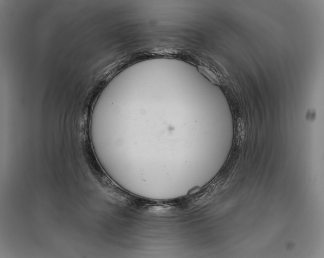 X0000096630364200802261210