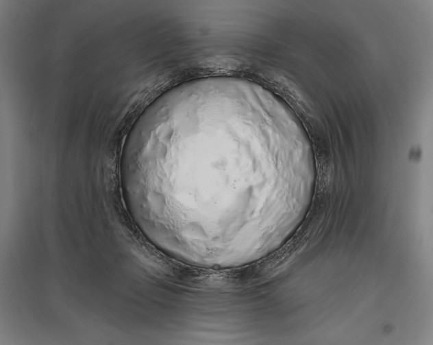 X0000096630365200802261210