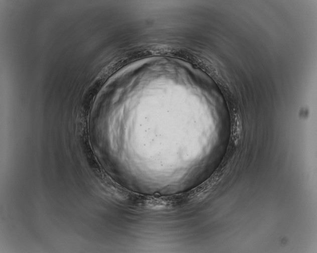 X0000096630367200802261210