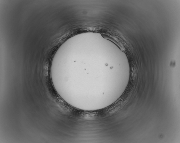 X0000096630368200802261210