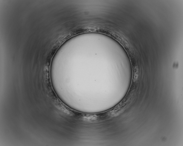 X0000096630369200802261210