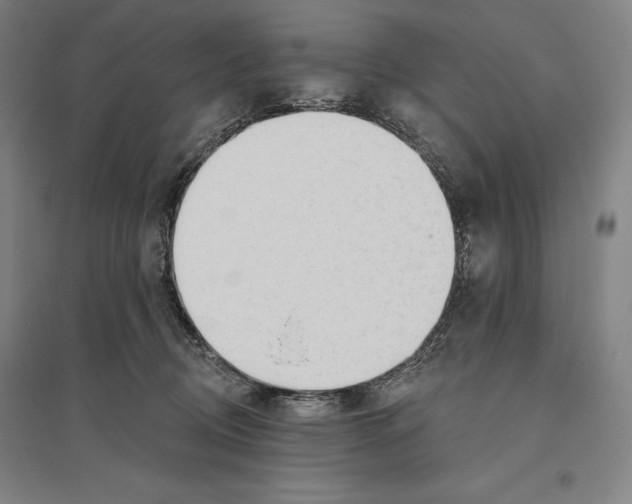 X0000096630370200802261210