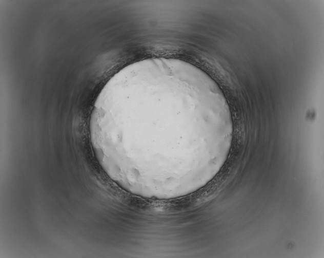 X0000096630371200802261210