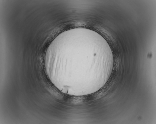 X0000096630373200802261210