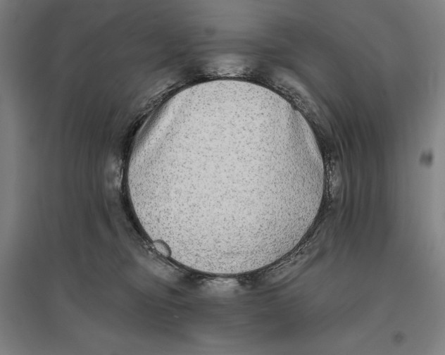 X0000096630374200802261210