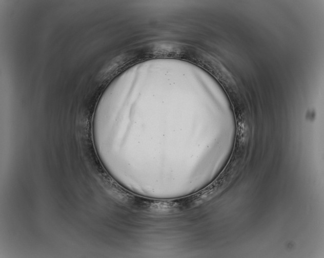 X0000096630375200802261210