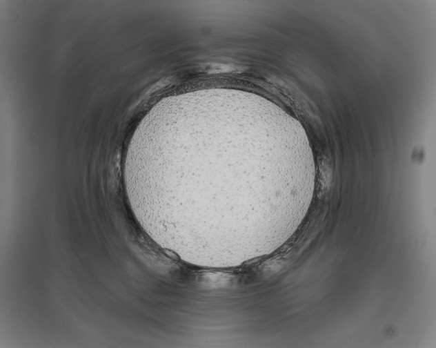 X0000096630376200802261210