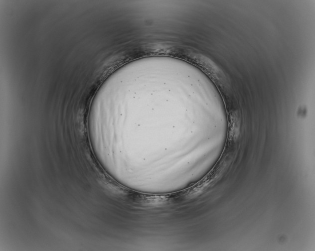 X0000096630377200802261210