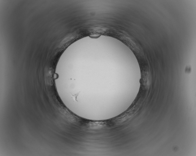 X0000096630378200802261210