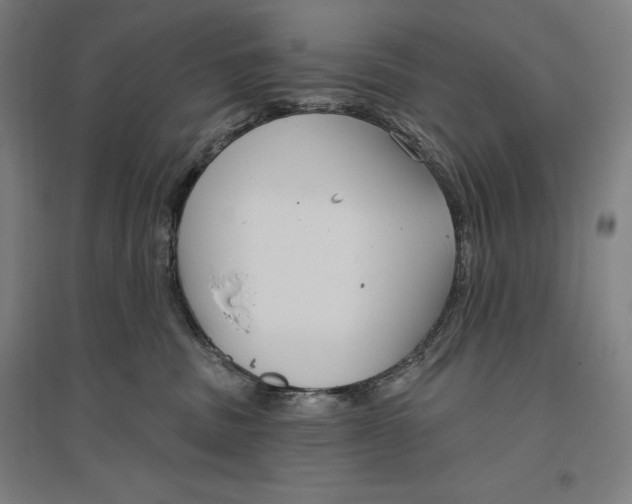 X0000096630379200802261210