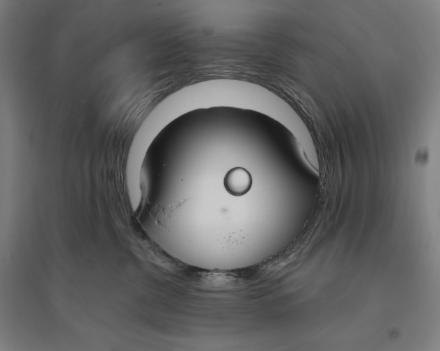 X0000096630380200802261210