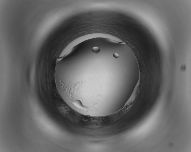 X0000096630382200802261210