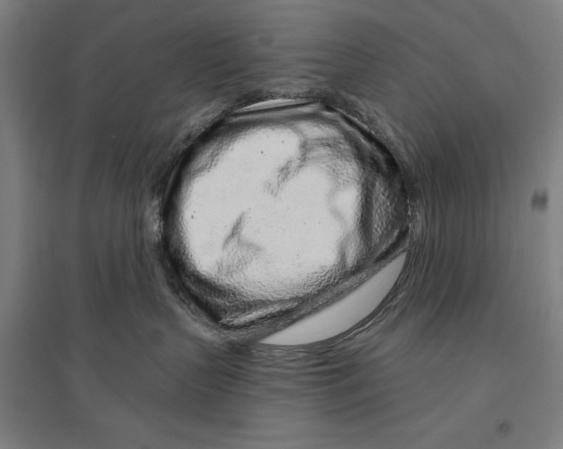 X0000096630383200802261210