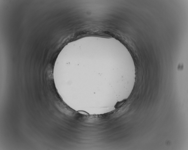 X0000096630384200802261210